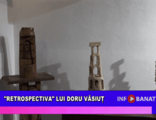 Retrospectiva lui Doru Văsiuț