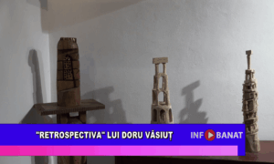 Retrospectiva lui Doru Văsiuț
