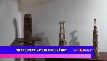 Retrospectiva lui Doru Văsiuț