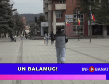 Un balamuc