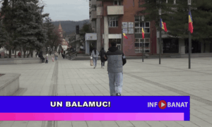 Un balamuc
