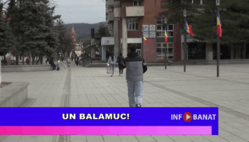 Un balamuc