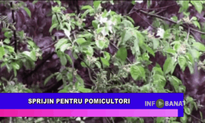 Sprijin pentru pomicultori