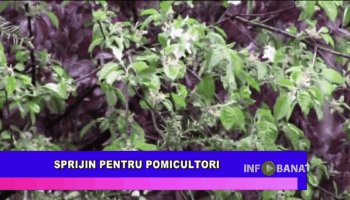 Sprijin pentru pomicultori