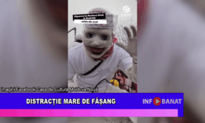 Distractie mare de Fășang