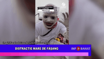 Distractie mare de Fășang