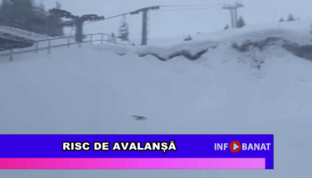 Risc de avalanșă