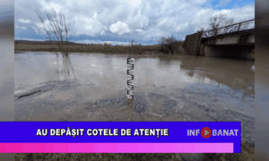 Au depășit cotele de atenție