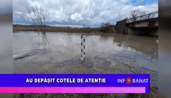 Au depășit cotele de atenție