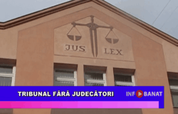 Tribunal fără judecători