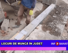 Locuri de muncă în județ