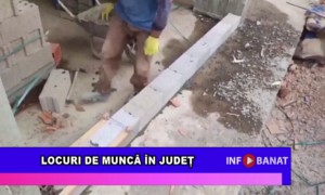 Locuri de muncă în județ