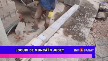 Locuri de muncă în județ