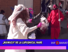 „Măimucii” de la Lăpușnicu Mare