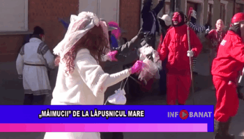 „Măimucii” de la Lăpușnicu Mare