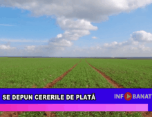 Se depun cererile de plată