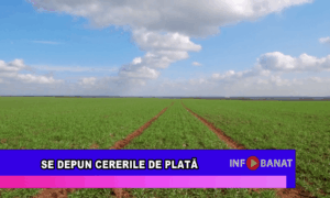Se depun cererile de plată