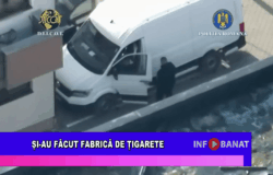 Și-au făcut fabrică de țigarete