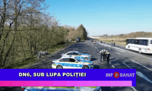 DN6, sub lupa poliției