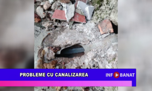 Probleme cu canalizarea