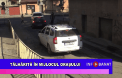 Tâlhărită în mijlocul orașului