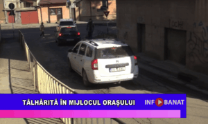 Tâlhărită în mijlocul orașului
