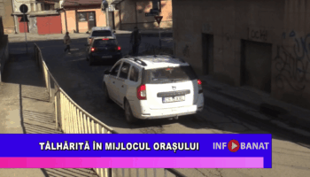 Tâlhărită în mijlocul orașului
