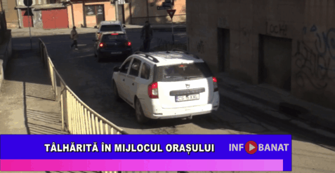 Tâlhărită în mijlocul orașului