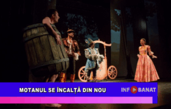 Motanul se încalță din nou