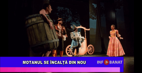 Motanul se încalță din nou