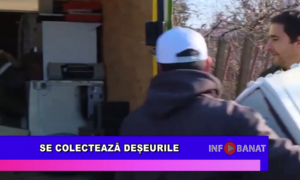 Se colectează deșeurile