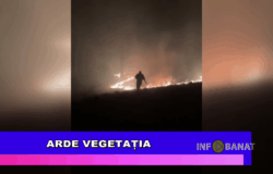 Arde vegetația