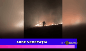 Arde vegetația