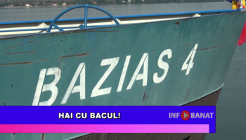Hai cu bacul!