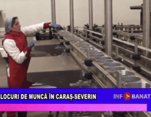 Locuri de muncă în Caraș-Severin