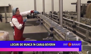 Locuri de muncă în Caraș-Severin