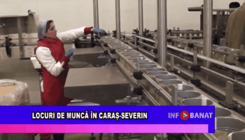 Locuri de muncă în Caraș-Severin