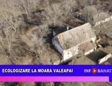 Ecologizare la Moara Valeapai
