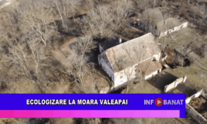 Ecologizare la Moara Valeapai