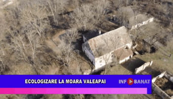 Ecologizare la Moara Valeapai