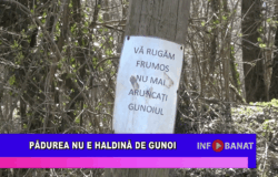 Pădurea nu e haldină de gunoi