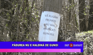 Pădurea nu e haldină de gunoi
