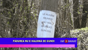 Pădurea nu e haldină de gunoi