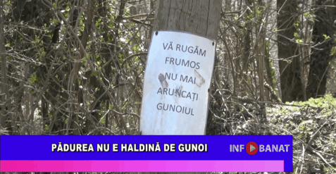 Pădurea nu e haldină de gunoi