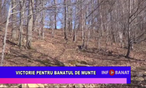 Victorie pentru Banatul de munte