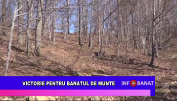 Victorie pentru Banatul de munte