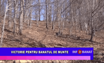 Victorie pentru Banatul de munte