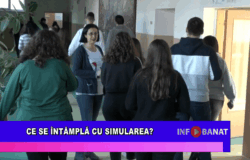 Ce se întâmplă cu simularea?