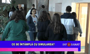 Ce se întâmplă cu simularea?
