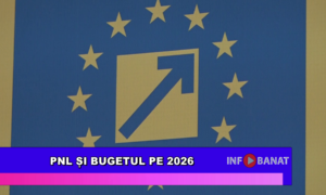 PNL și bugetul pe 2026